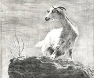 Έκθεση Σύγχρονης Ελληνικής Χαρακτικής