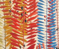 ΦΥΛΛΩΣΙΕΣ ΤΟΥ ΥΠΟΘΕΤΙΚΟΥ