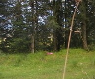 Βερσαλλίες