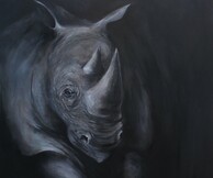 Δανάη Μεγγρέλη, In the Wild