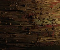 Κώστας Τζημούλης, Yucca