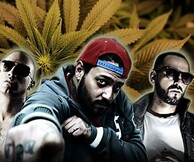 Ζωντανοί Νεκροί 