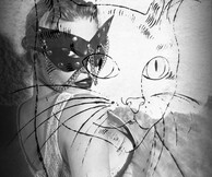 Faster pussy cat...Kill-Kill