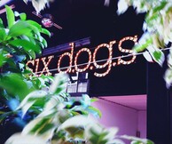 4 years six d.o.g.s 