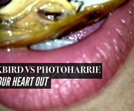 Eat your heart out