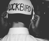 RoubiRoubiRoubi & Lockbird