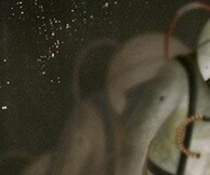 Das Kapital (a model)