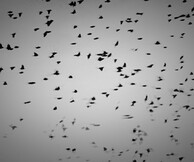 The 3rd Man Element ft. Γ. Κοντραφούρης