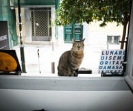 Record Store Day 2018 στο Homcore