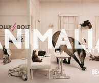 Molly Bolt: Animalia