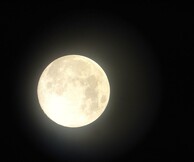 Full moon Night@White Noise