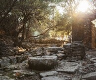 Saristra Festival 2016