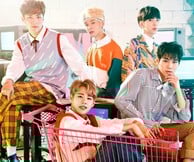 Imfact