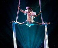 Circus Explosiva