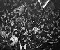 Black Rose Festival
