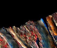 Elektronik Meditation f. Savina Yannatou & Harris Lambrakis Live