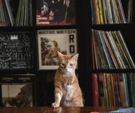 ΙΙ Χρόνια Entropia Records