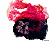 GraviDanza