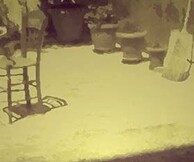 Η αυλή των θαυμάτων