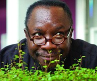 Reggae Vibes Music Festival