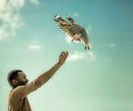 FFF4: Sanctuary