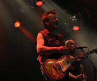 Vive Le Punk Rock