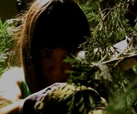 ΟΜΑΔΑ UNIVERSALIA, THE FOREST