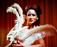 Venus In Furs