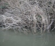 FFF5: Διαλέξεις-Περφόρμανς- 2η Ημέρα