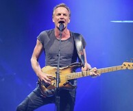 Sting