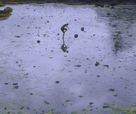 Φεστιβάλ moving silence Αθήνα 2014