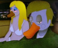 To νέο βίντεο του Devendra Banhart