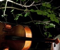 Το μουσικό χωριό στη Στέγη