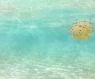 Αποκλειστικό: Ακούστε και κατεβάστε δωρεάν το νέο dance track του Nikonn