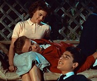 8ο Φεστιβάλ Πρωτοποριακού Κινηματογράφου της Αθήνας