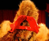 «Τσίρκο και ταριχευτές»: 4 βραβευμένες avant garde ταινίες στον θερινό κινηματογράφο Ριβιέρα