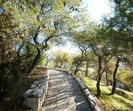 Μουσικές παραστάσεις και συναυλίες στον Λόφο του Στρέφη