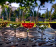 15 μικροί Έλληνες οινοπαραγωγοί στο «A Sip for a Cause»