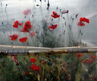 Η γκαλερί Bernier/Eliades θα φιλοξενήσει έκθεση του φωτογράφου Στράτου Καλαφάτη