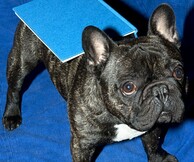 Ανοιχτό κάλεσμα για δωρεάν συμμετοχή στο διήμερο «Self Publish Be Happy» workshop της Atopos cvc