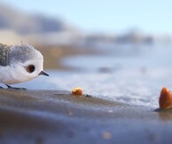 «Piper»: Άλλο ένα αριστούργημα από την Pixar