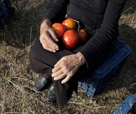 «Της πείνας τα καμώματα»: Ο Γεράσιμος Μπέκας γράφει απολαυστικά για τις «ντομάτες» στην Berlinale