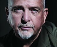 "And I' ll Scratch Yours"