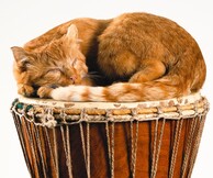 Σπάνια έργα του Αμερικανού καλλιτέχνη David Hammons στην πρώτη σημαντική παρουσίαση της δουλειάς του στην Ελλάδα