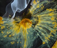 Το έργο ζωής του Terrence Malick, Voyage of Time, στη Στέγη