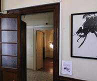 Tι κάνουν 17 καλλιτέχνες, ένας συγγραφέας και μια σκηνοθέτης σ' ένα νεοκλασικό στα Εξάρχεια;