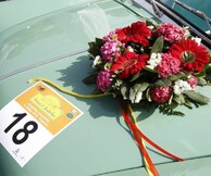 65η Ανθοκομική Έκθεση Κηφισιάς | Η γιορτή της Άνοιξης επιστρέφει με ένα πρόγραμμα για όλη την οικογένεια