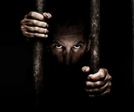 Ο Τρόφιμος: Το νέο best seller ψυχολογικό θρίλερ του Sebastian Fitzek