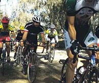 Bicycle Film Festival, ο Συμβολαιογράφος