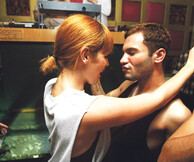 Alphabetalamda party